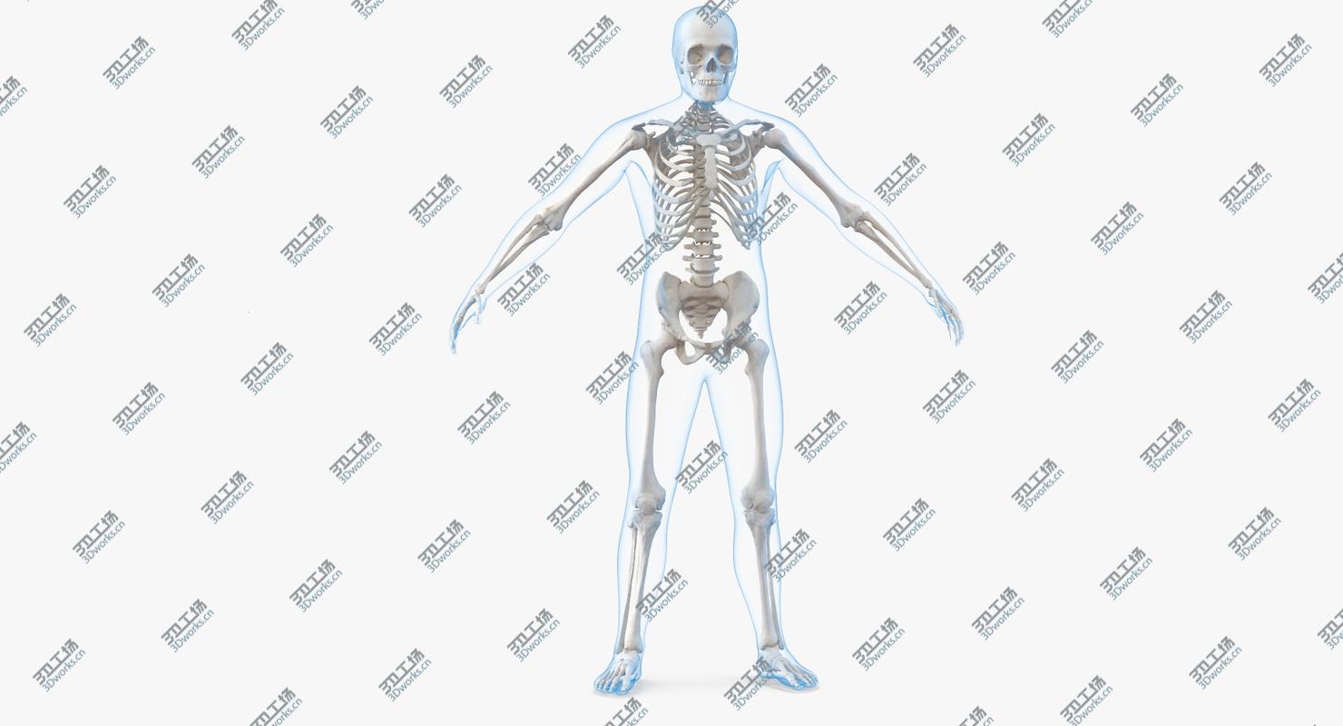 images/goods_img/20210319/Male  and Female Bodies with Skeletons Rigged Collection 3D/3.jpg